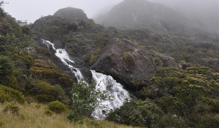 paramo
