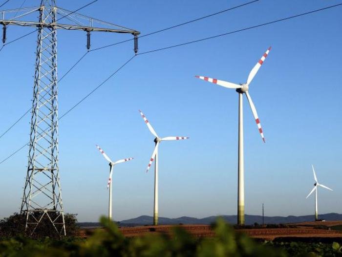 Tomado de Portafolio